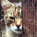 Stephen Barker - Facebook