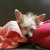 stephbennett37 - @stephbennett37 - TikTok