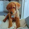 Stephen bennett - @bennettstephen650 - TikTok