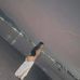 Steph Garcia - Facebook