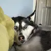 Stephen Marx - @stephen.marx1 - TikTok