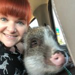 Steph & Tucker - @stephakneelynne - Instagram