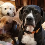 Steph Tucker - Facebook