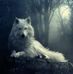 Stephan Arndt - Facebook
