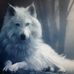 Stephan Arndt - Facebook