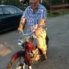 stephandahlbock - @stephandahlbock - TikTok