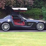 Stephan Grant - @stephangrant7 - Instagram