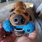 Stephan Hausmanns - @stephanhausmanns - Instagram