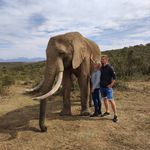 Stephan Henning - @_henningstephan_ - Instagram