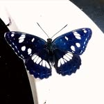 Stephan Hoppe - @farbenfrohe.seelen - Instagram