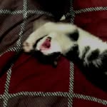 Stephan Kaufmann - @kaufmann6351 - Instagram