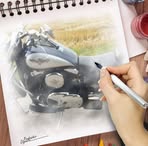 Stephan Kaufmann - Facebook