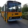 stephankaufmann771 - @stephankaufmann771 - TikTok