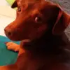 Stephan - @stephan.schwarz3 - TikTok