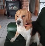 Stéphane Barbier - Facebook