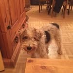 Stephane Barbier - @stephane4406 - Instagram