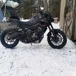 Stephane Champagne - @stephanechampagne51 - Instagram