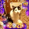 Stephane Cosset107 - @stephanecosset107 - TikTok