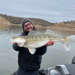 Stéphane Mallet - @stefou_fish_on31 - Instagram