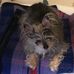 Stephani Jones - Facebook