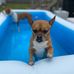 Stephanie Aaron - Facebook