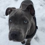 Stephanie Albin - @zero.zeroblue - Instagram