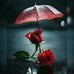 Andry Stevine - Facebook