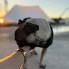 🪫 - @stephanie.antoniaaa - TikTok