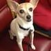 Stephanie Tucker - Facebook