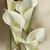 stephaniebach35 - @stephaniebach35 - TikTok