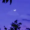 Stephanie Batres - @stephanie.batres6 - TikTok