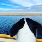Stephanie Batten - @batten81 - Instagram