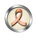 Raffle for Stephanie Bechtold - Facebook