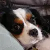 stephaniebechtold1978 - @stephaniebechtold1978 - TikTok