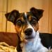 Stephanie Beckmann - Facebook