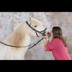 Stéphanie Begin - @stephanie.begin - Instagram