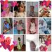 Stephanie Benn - Facebook