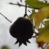 stephanieberkowit - @stephanie.berkowi - TikTok