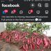 Stephanie Billy - Facebook