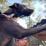 Stephanie Kiehl Bloch - @skbloch - Instagram