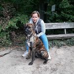 stephanie_bode - @stephanie_bode_85 - Instagram