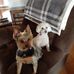 Stephanie Bonnette - Facebook