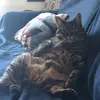 Stephanie Boudreau - @stephanieboudreau91 - TikTok