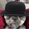 stephaniebourque83 - @stebou83 - TikTok