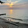 Steph Brainard - @steph.brainard - TikTok