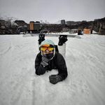 Stephanie Briggs - @steff_jbriggs - Instagram