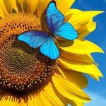 Stephanie Brogdon - @beehive2022_ - Instagram