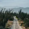 burchellstephanie - @burchellstephanie - TikTok