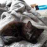 Stephanie  burchell - @burchell.stephanie - Instagram