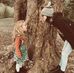 Stephanie Coffey - Facebook